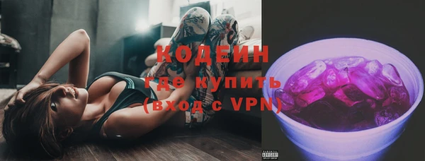 стафф Коряжма
