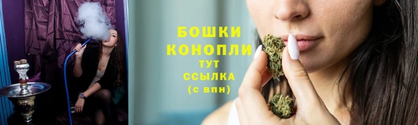 ECSTASY Краснослободск