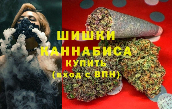 стафф Коряжма