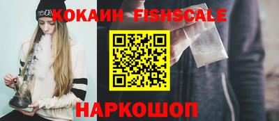 индика Гусев