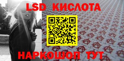 индика Гусев