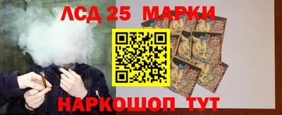 индика Гусев