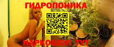 индика Гусев