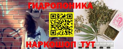 индика Гусев