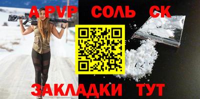 индика Гусев