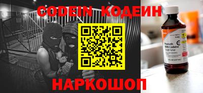 индика Гусев
