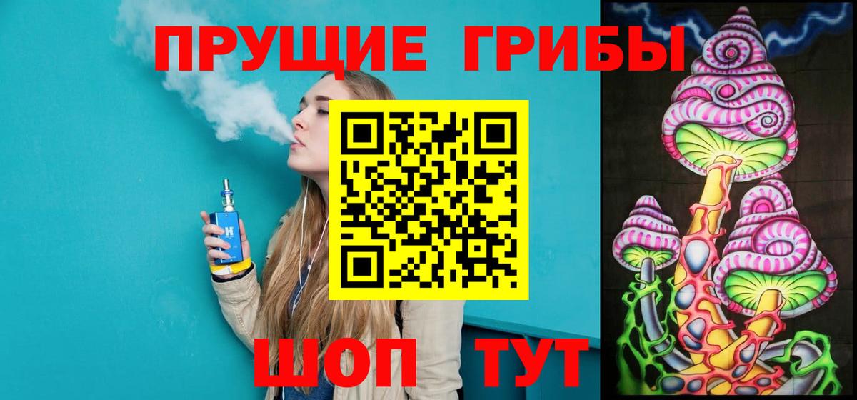 Галлюциногенные грибы Psilocybe Курганинск