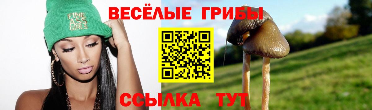 как найти закладки  Галлюциногенные грибы мухоморы  Вход с VPN  Курганинск 
