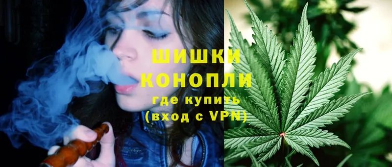 Бошки марихуана THC 21%  Курганинск 