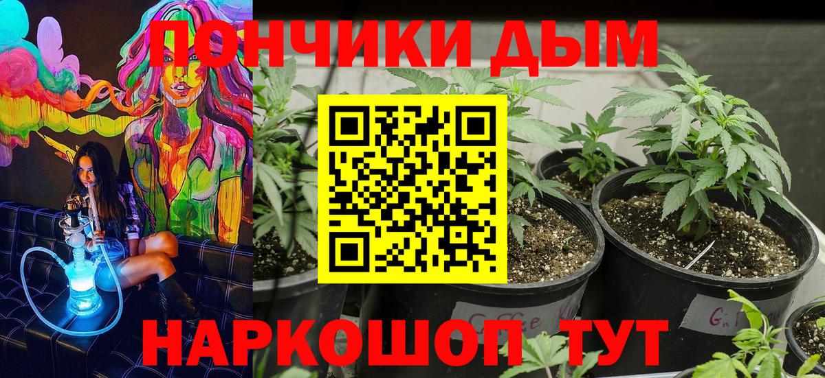 Курганинск  Каннабис MAZAR  Вход с VPN  Бошки Шишки марихуана 